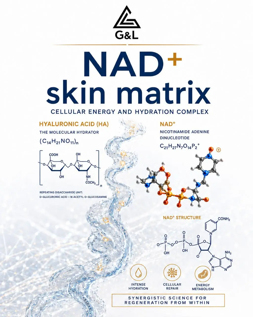 Информационный визуал NAD+ Skin Matrix